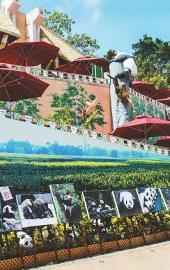 8月24日，“熊貓藝術(shù)展”在香港海洋公園內(nèi)的四川奇珍館開幕。圖為藝術(shù)展展出的熊貓攝影作品。本報(bào)記者田為 攝