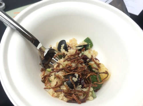 民眾“Brooklyn Bugs”品嘗昆蟲(chóng)制成的各種食物。（美國(guó)《世界日?qǐng)?bào)》/李碩 攝）