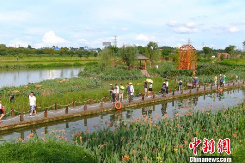 海外華文媒體代表走進那考河濕地公園?！∮峋?攝