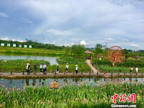 海外華文媒體代表走進那考河濕地公園?！≈炝?攝