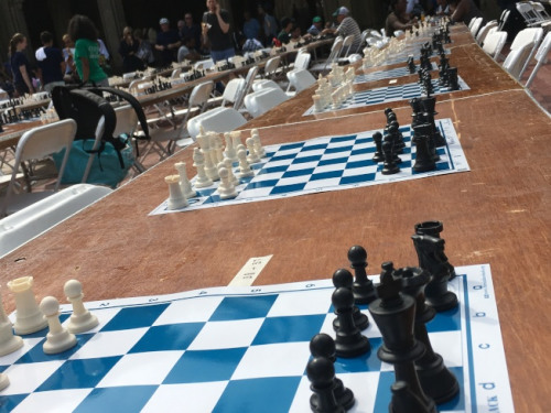 第17屆校內(nèi)西洋棋公園賽在中央公園舉行，吸引700多名各年齡西洋棋愛好者。(美國《世界日報(bào)》 李碩/攝)