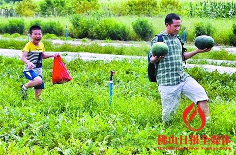 勁農(nóng)現(xiàn)代都市農(nóng)業(yè)園中，市民體驗(yàn)生態(tài)旅游農(nóng)業(yè)。