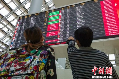 圖為兩位旅客在海口美蘭國際機場查看航班信息，電子顯示屏上大部分航班已經(jīng)被取消?！●樤骑w 攝
