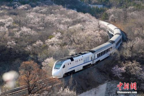 資料圖：北京居庸關(guān)京張鐵路和諧號(hào)列車穿過花海。<a target='_blank' >中新社</a>記者 廖攀 攝