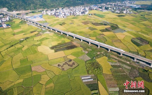 資料圖：一列動車行駛在貴廣高鐵貴州省榕江縣郊外田野高架橋上。<a target='_blank' >中新社</a>記者 賀俊怡 攝