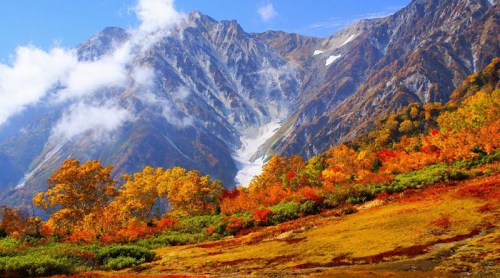 資料圖：長(zhǎng)野縣白馬村的紅葉景色。