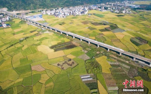 五年來，生態(tài)文明建設(shè)受到前所未有的重視，綠色發(fā)展和綠色生活成為大勢所趨。圖為2016年10月4日，一列動車行駛在貴廣高鐵貴州省榕江縣郊外田野高架橋上。從空中俯瞰，色彩斑斕的稻田，猶如秋天繪制的“調(diào)色板”。<a target='_blank' >中新社</a>記者 賀俊怡 攝
