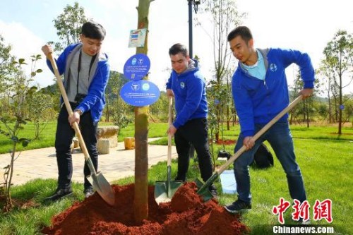 圖為營(yíng)員植樹(shù)留念。　王崴　攝