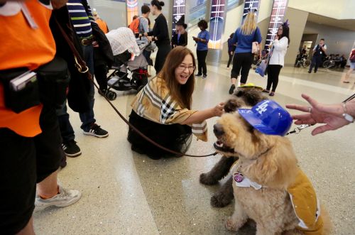 一位旅客在與寵物犬互動。(美國《僑報》/邱晨 攝)