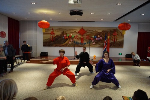 中國功夫表演。