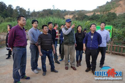 服務(wù)團(tuán)在黔西南州望謨縣熱作產(chǎn)業(yè)良種繁育科技示范園調(diào)研?！∪轿木辍z