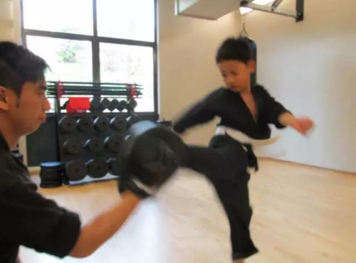孩子在武館練習(xí) 孩子在武館練習(xí)