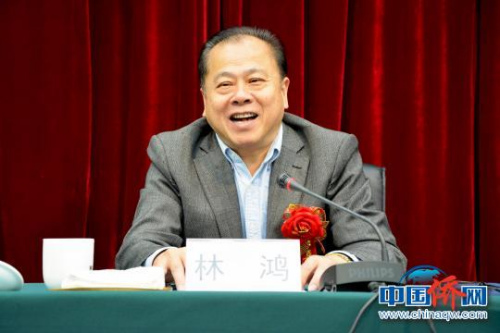 圖為寧德市委常委、統(tǒng)戰(zhàn)部部長林鴻致辭。葉茂 攝