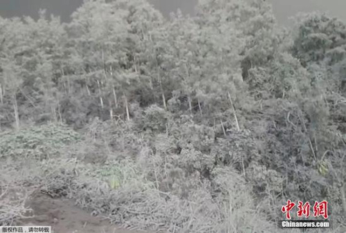 12月1日消息，一組于26日發(fā)布在社交網(wǎng)絡(luò)的印尼阿貢火山爆發(fā)后巴厘島當(dāng)?shù)卦饣鹕侥嗔鳑_擊的照片。
