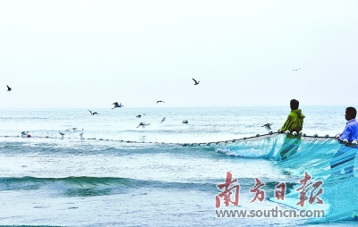 目前，潮州近岸海域水質(zhì)狀況總體良好。圖為饒平大埕灣，海面上海鳥紛飛。黃慶明 攝