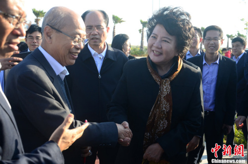 12月13日，中國國務(wù)院僑務(wù)辦公室主任裘援平一行與回鄉(xiāng)投資興業(yè)的海外華僑華人在廣東汕頭考察華僑試驗(yàn)區(qū)的中泰(汕頭)華僑中心和華僑未來城。<a target='_blank' >中新社</a>記者 廖樹培 攝