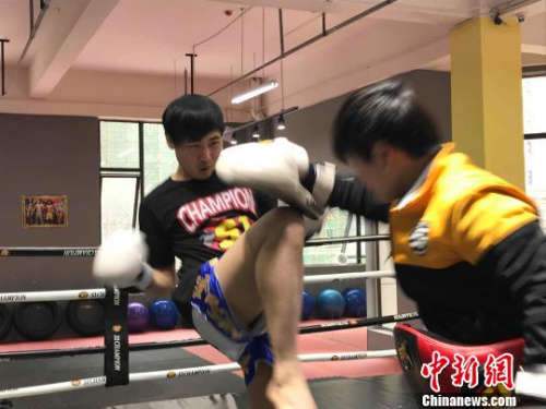 洪志青在練習泰拳?！∥簣?攝
