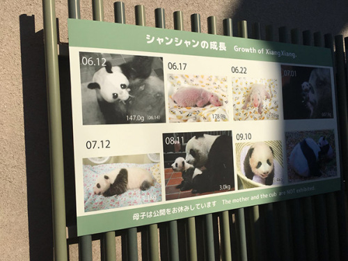 香香的成長(zhǎng)史 香香的成長(zhǎng)史