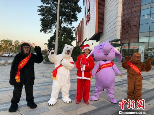 廈門靈玲國際馬戲城，打造原汁原味的圣誕節(jié)歡樂氛圍?！×謥砩?攝