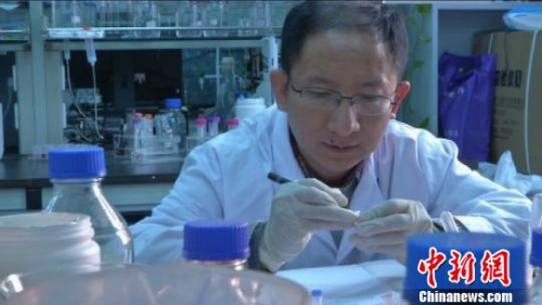 中科院合肥物質(zhì)研究院的科學(xué)家正在潛心工作?！O策 攝