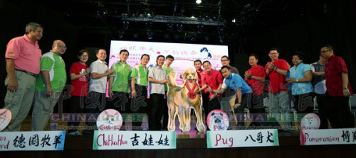 “福旺齊天，萬狗騰春”大型現(xiàn)場繪萬狗圖揮毫啟動儀式。