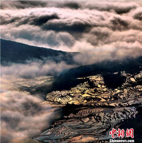 尤溪聯(lián)合梯田風(fēng)光?！⒔ü?攝