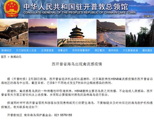截圖自中國(guó)駐南非開普敦總領(lǐng)館網(wǎng)站。