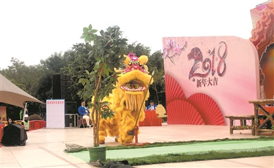 醒獅踩竹竿，魚青高高飛起。廣州日報全媒體記者劉鵬飛攝