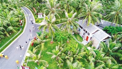 文昌好圣航天農(nóng)莊。本報(bào)記者 張茂 攝