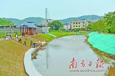 在南口鎮(zhèn)僑鄉(xiāng)村三星河邊，工程隊(duì)正對(duì)親水觀光平臺(tái)進(jìn)行最后的石磚鋪設(shè)和綠化工作。何森垚 攝