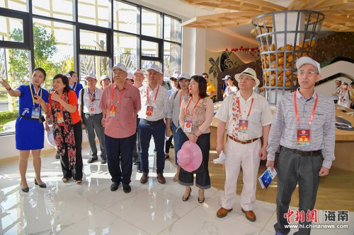 　4月2日，200多名在海南文昌參加2018年第七屆海南文昌南洋文化節(jié)的海內(nèi)外鄉(xiāng)親，前往春光椰子王國、昌鋪旅游公路、鋪前跨海大橋、瓊北大草原、文昌中學(xué)和清華大學(xué)附屬中學(xué)文昌學(xué)校項目，了解文昌近兩年在食品加工、交通基礎(chǔ)設(shè)施、旅游和教育方面的建設(shè)發(fā)展。(駱云飛 攝影)