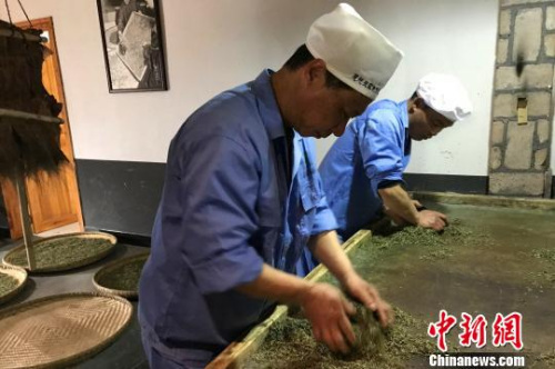 51歲的向書(shū)蘭雙手不停地揉捻著茶團(tuán) 董曉斌 攝 51歲的向書(shū)蘭雙手不停地揉捻著茶團(tuán) 董曉斌 攝