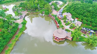 高空鳥瞰興隆咖啡谷。 本報記者 張茂 攝
