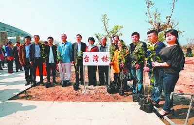 臺胞在湖石淉水生態(tài)公園種下一片“臺灣林”。