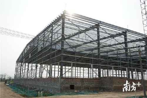 在建廠房已完成地面加高。 張泳渝 攝