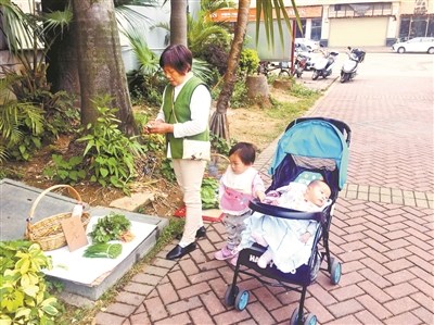 帶著孩子光顧無人菜攤的阿姨。