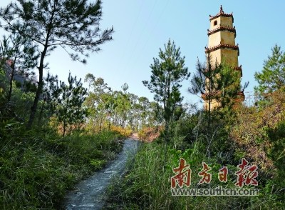 大埔三河壩--潮州饒平麒麟嶺古驛道上的遺存：余里古道，右邊是余峰塔。 劉招迎 攝