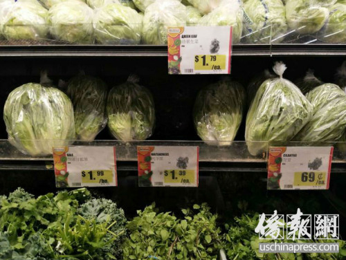 超市里的蔬菜。（美國僑報(bào)網(wǎng)/曹同慶 攝）