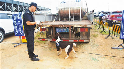 文昌市公安緝毒人員帶著緝毒犬開展檢查工作。