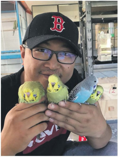 Song在自己的鳥房里。(《新西蘭中文先驅(qū)報》)