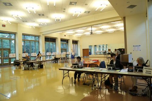 資料圖： 2018年6月26日，美國馬州初選日登場，無論是投票、做義工，還是參選，都能見到馬州華人的參政身影。(美國《世界日報(bào)》/羅曉媛 攝)