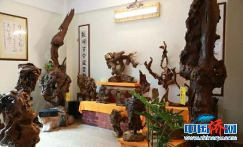 萬寧根藝館的根雕作品?！蛆i 攝