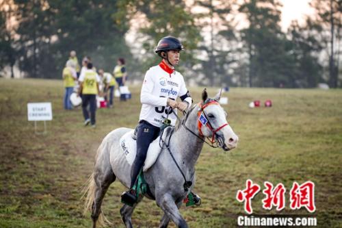 選手在比賽中。國際馬聯(lián)供圖 夏原浦攝