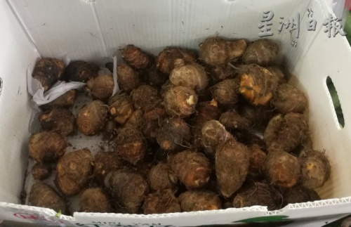 中秋節(jié)應(yīng)節(jié)食品小芋頭銷量慢熱。（馬來西亞《星洲日?qǐng)?bào)》）