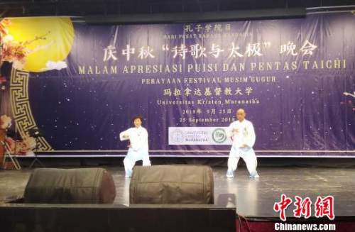 圖為中國“盧氏太極”表演?！＄娦?攝