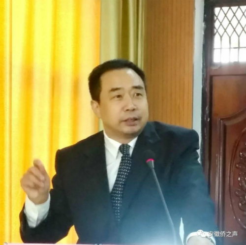 圖為安徽省僑聯(lián)黨組成員、副主席兼秘書長楊冰出席并講話 