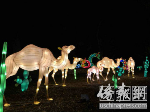各類動物燈飾造型生動。(美國《僑報》/翁羽 攝) 