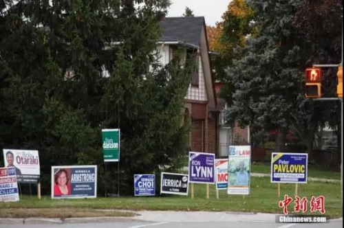 華人聚居區(qū)萬錦市（Markham）一處街頭，插著眾多參選人的競選廣告牌。<a target='_blank' >中新社</a>記者 余瑞冬 攝