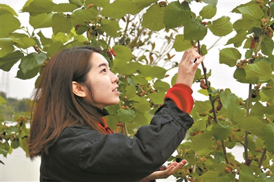 圖片來源:《廣州日報》 劉鵬飛/攝 圖片來源:《廣州日報》 劉鵬飛/攝