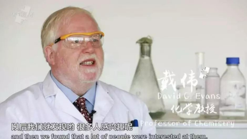 中新視頻截圖